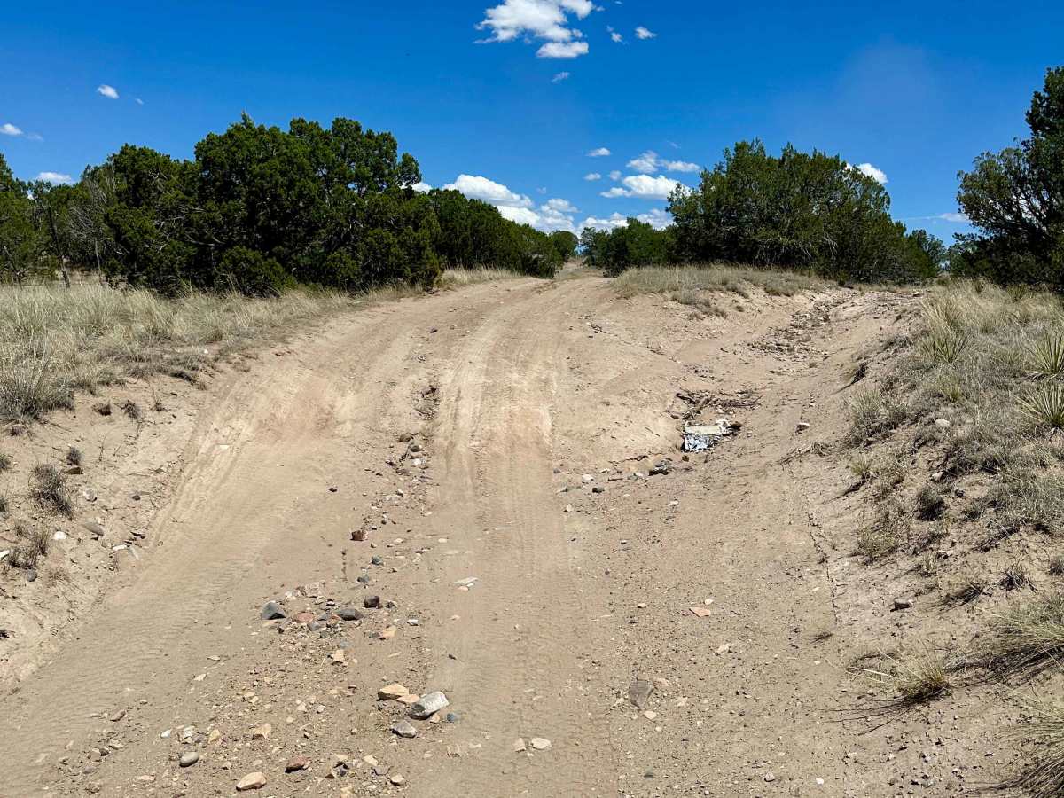 Dispersed Camping Loop photo 3