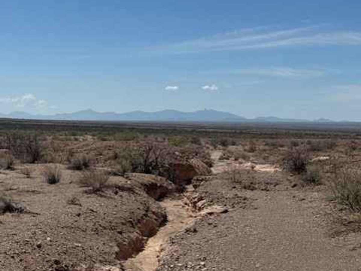 BLM SS1031 photo 6