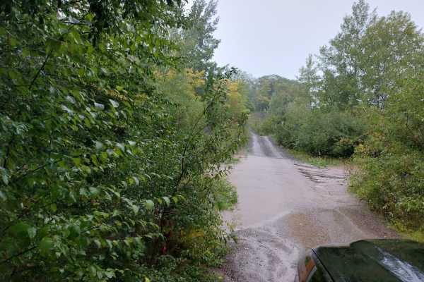 Bill Nicholls Trail (UP3)