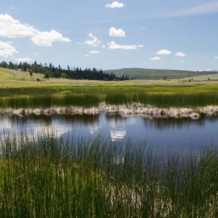 Near Black Canyon of the Yellowstone