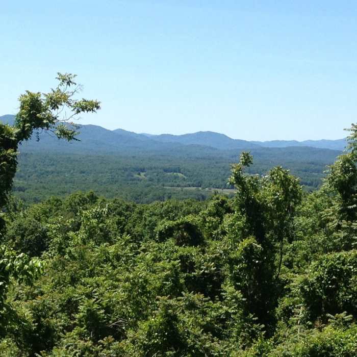 Near Mint Springs Loop