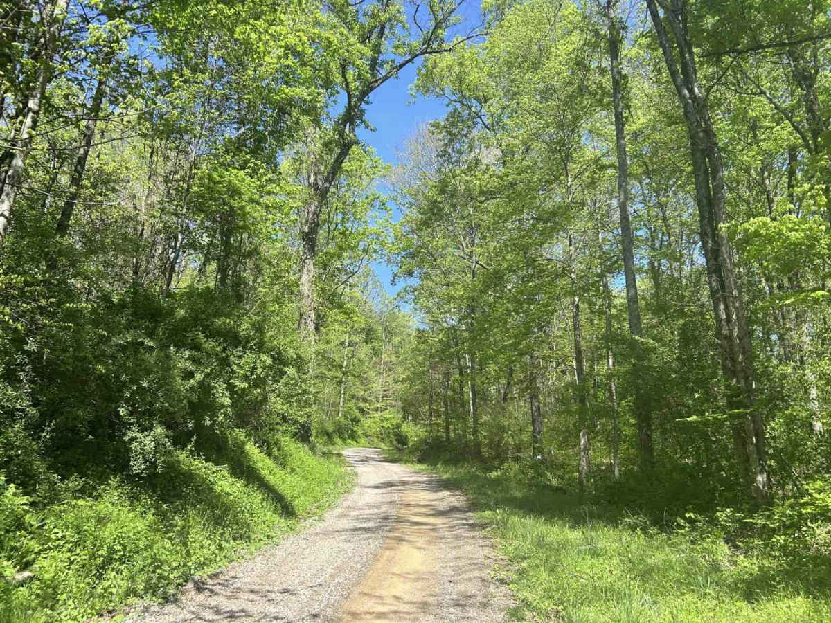 Hopewell Ridge  photo 4