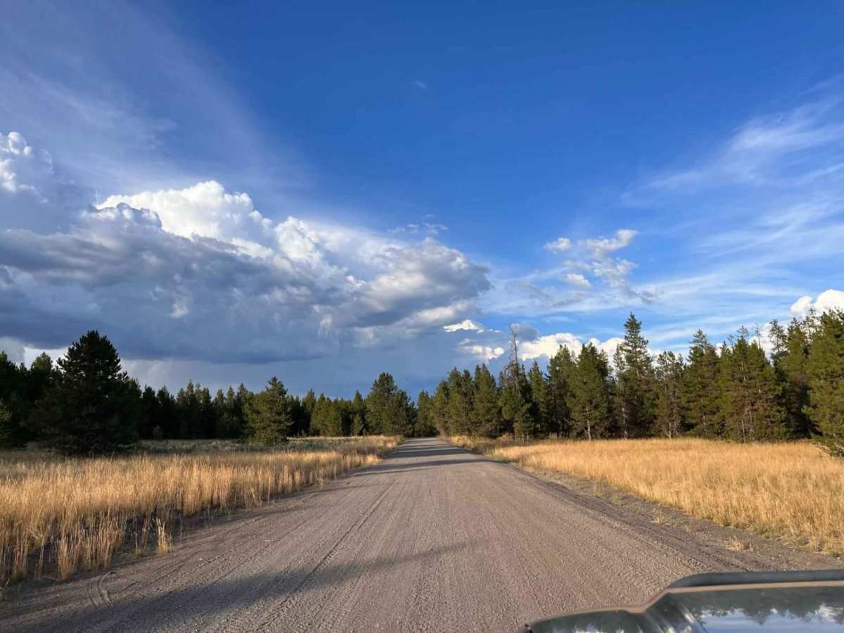 Butterfly Loop trail photo
