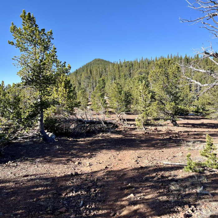 Near Mount Rosa via Cheyenne Canyon