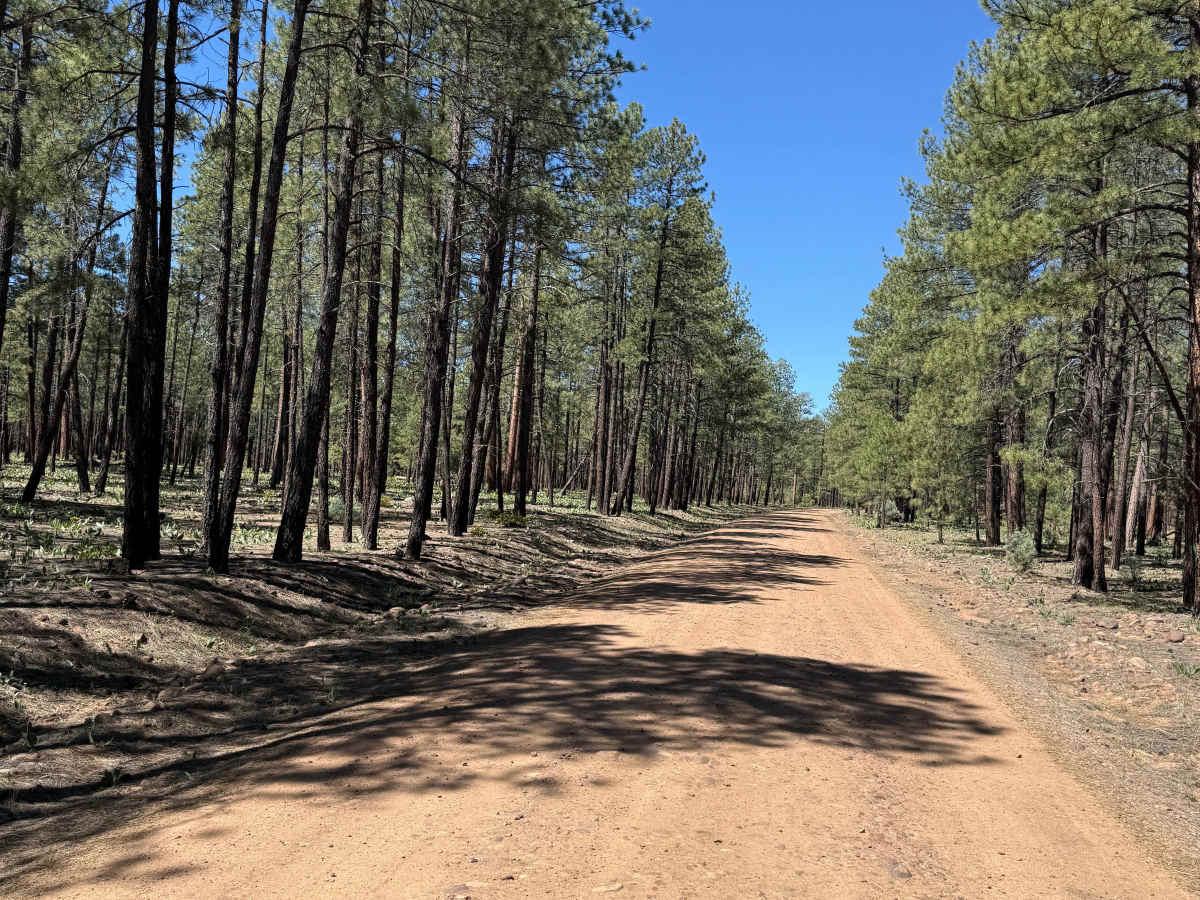 Pinedale Rim - FS 130 photo 6