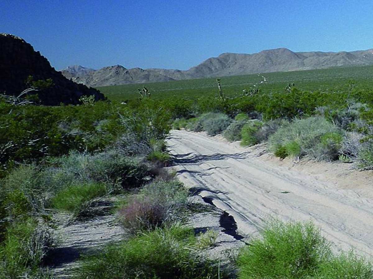 Mojave Road, Central photo 3