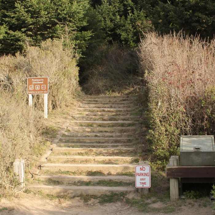 Near Palomarin Hike to Bass Lake