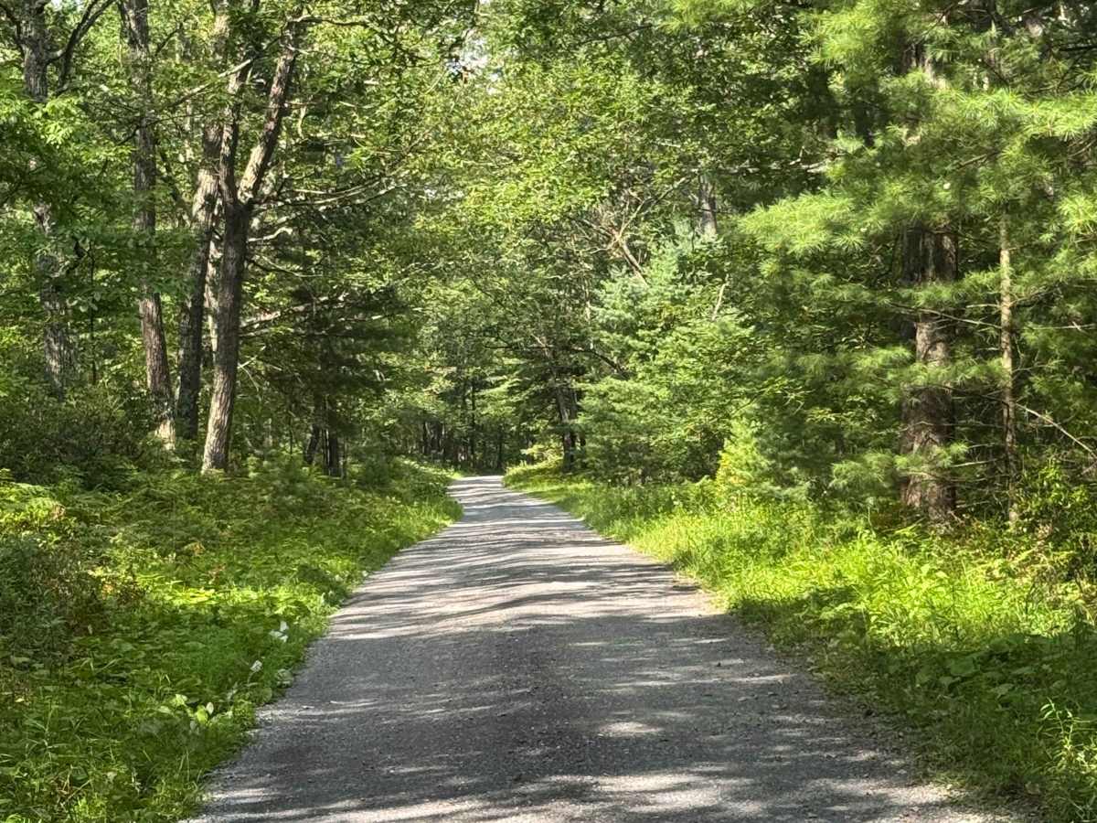 Silver Springs Road photo 4