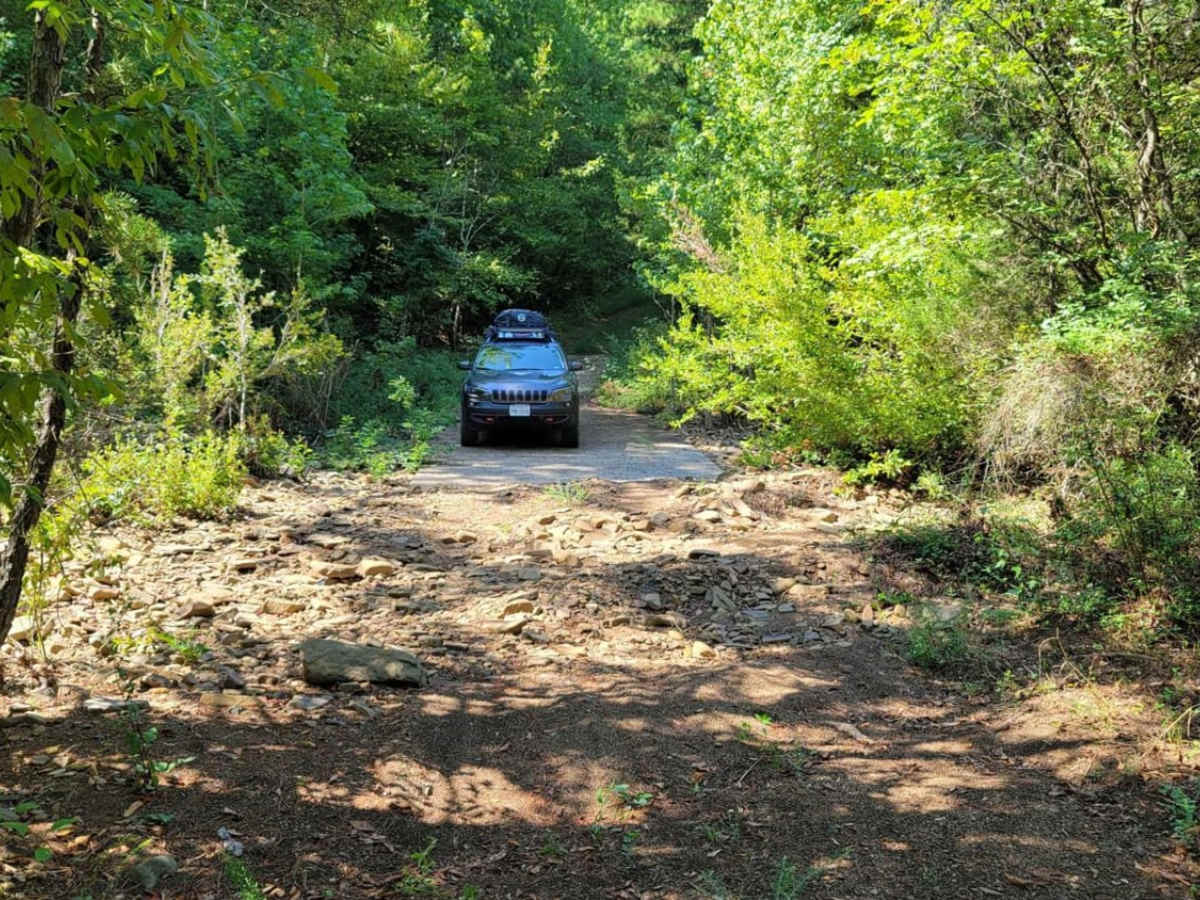 Bridge Stops Here trail photo