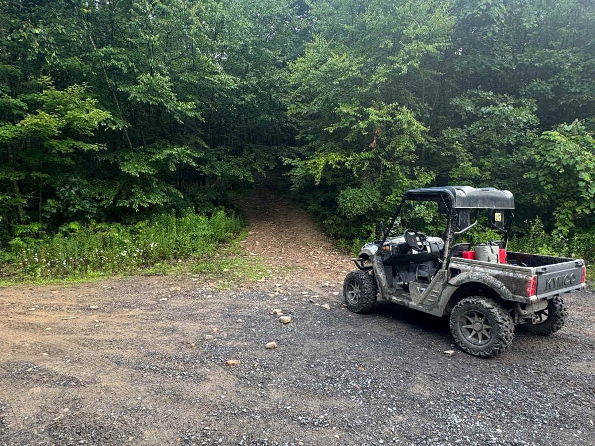 Trail 46 trail photo