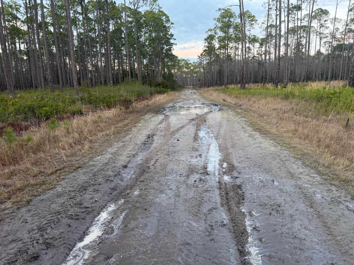 FR 205 trail photo