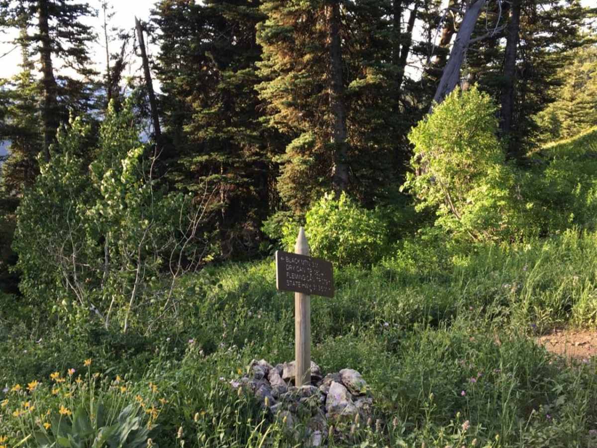 Fleming Canyon photo 4