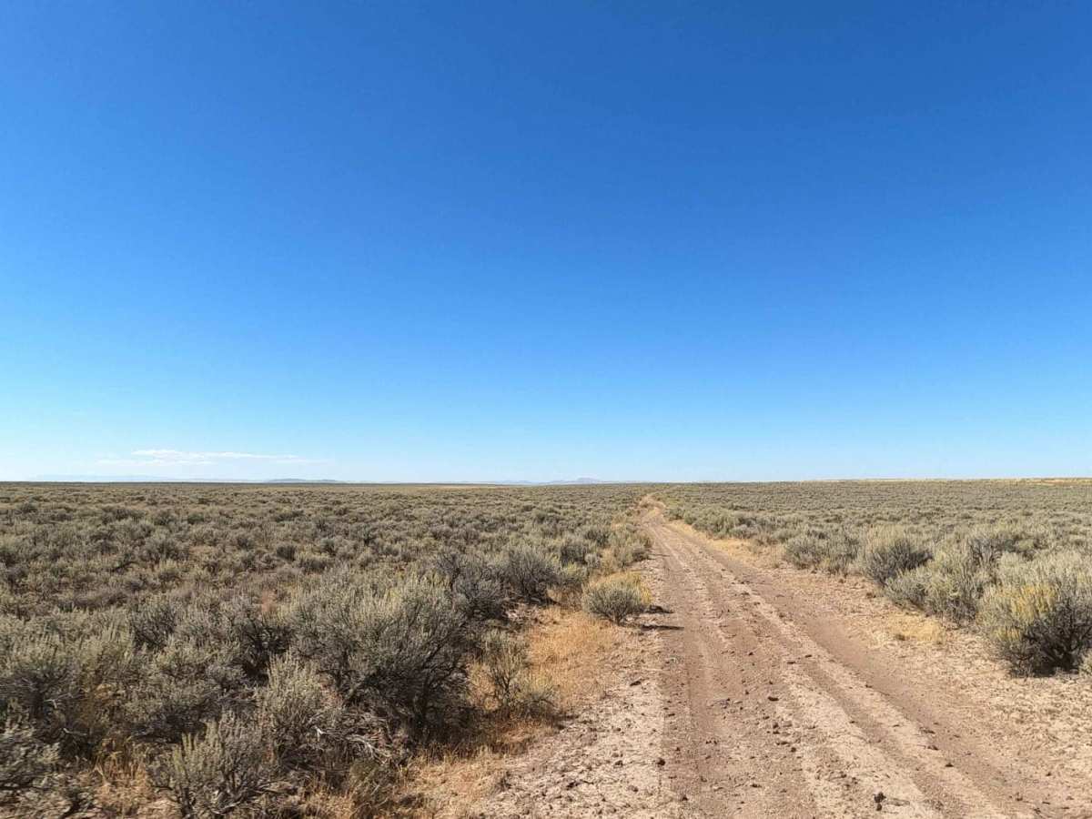 Iron Point Road photo 6