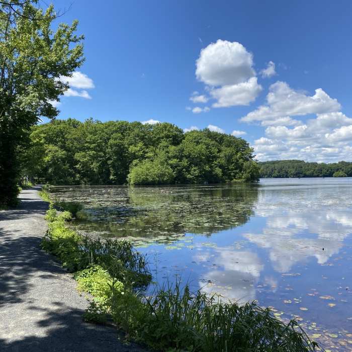 Near Scoville Reservoir Trail