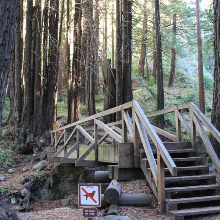 Near Limekiln Trail Near Limekiln Trail