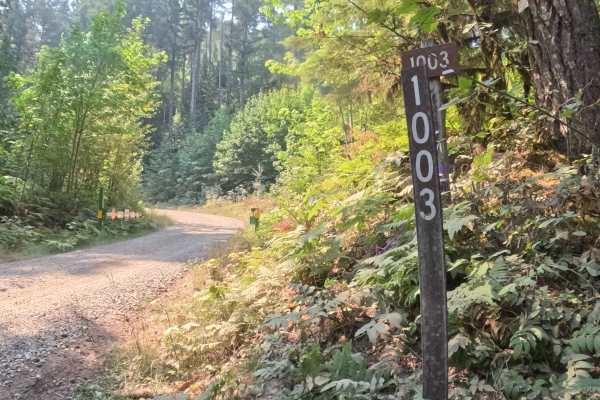 Tom Creek - FS 1003000