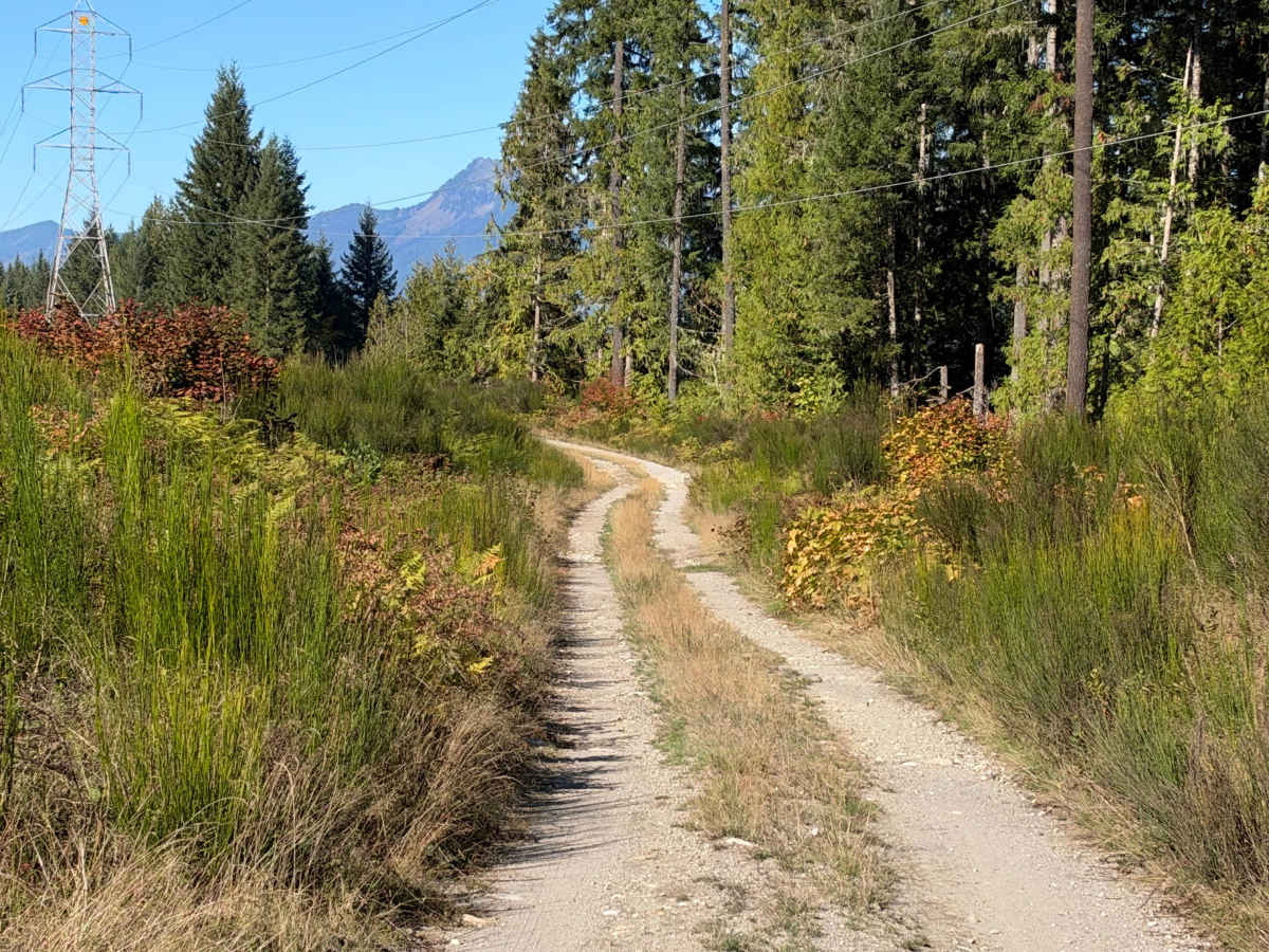 Powerline Loop photo 4