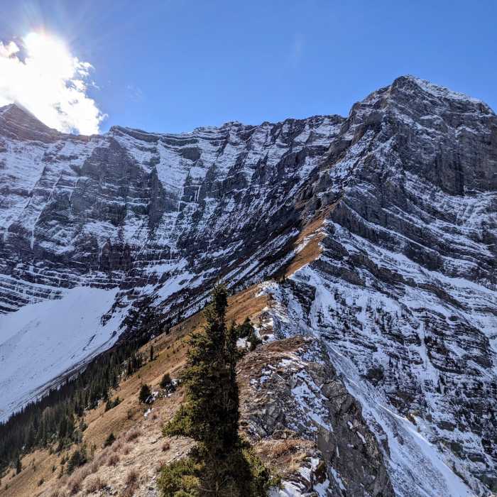 Near Sarrail Ridge Trail