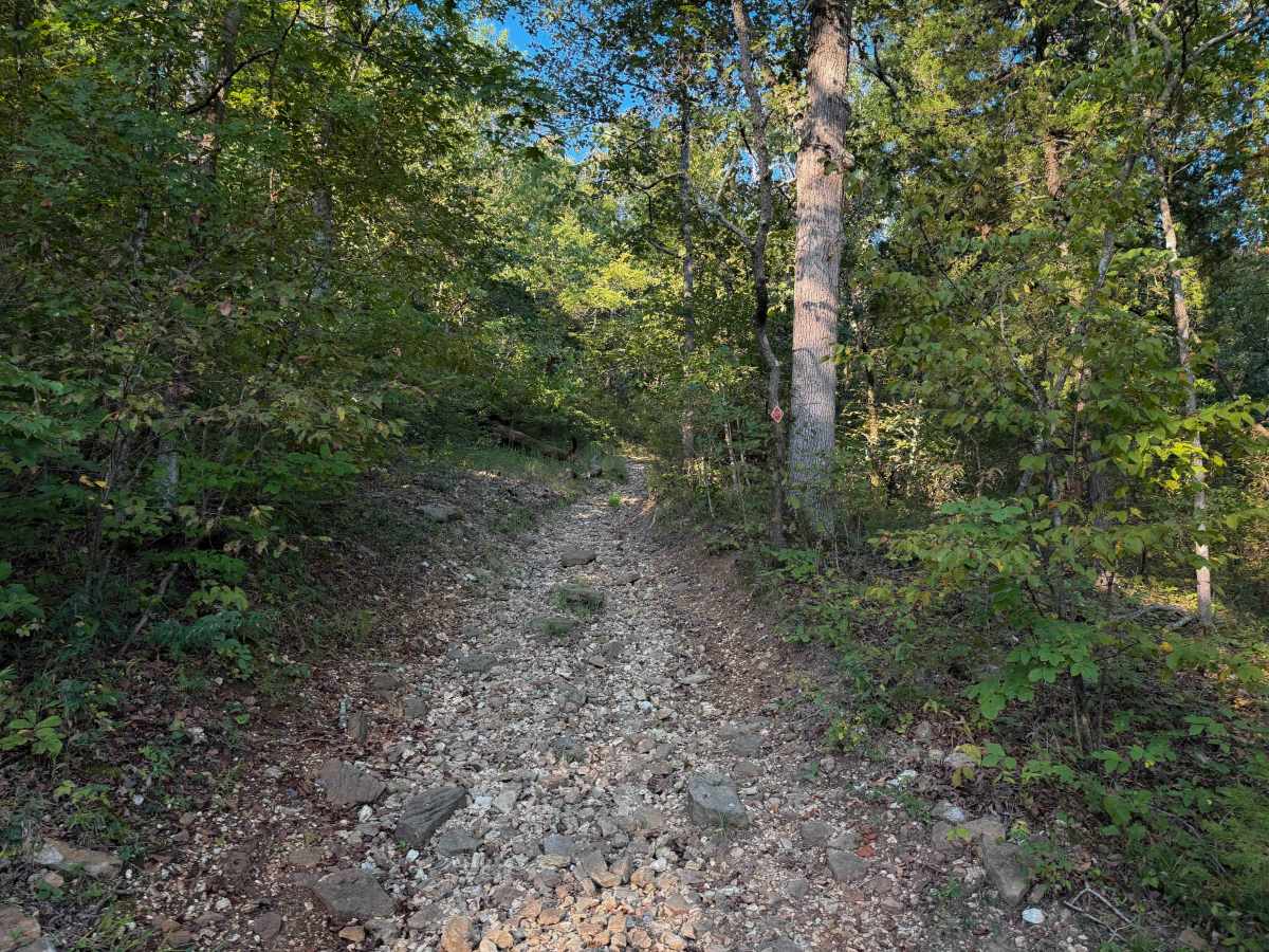 129 trail photo