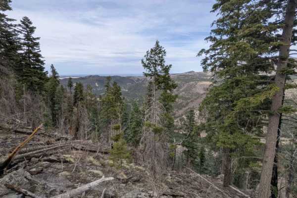 Noble Mountain
