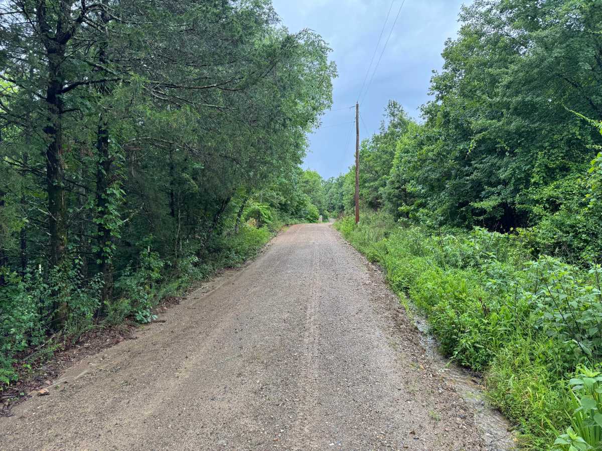 Ryan Road trail photo