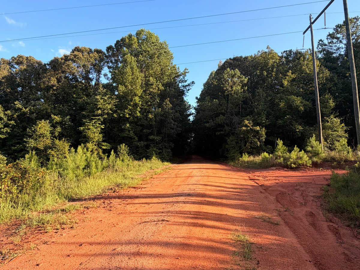 Turkey Trail photo 2