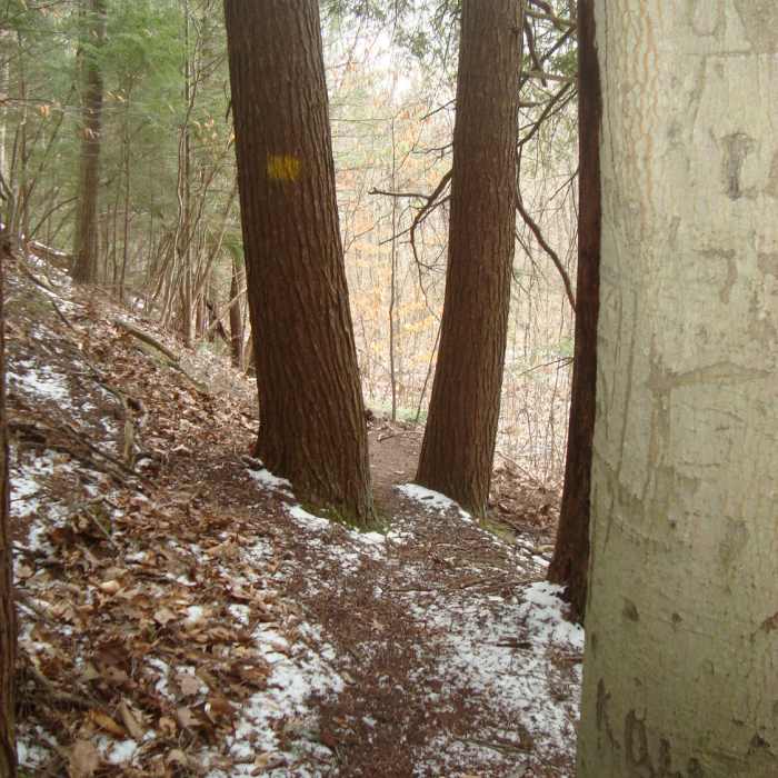 Near Swan Creek Trail (North and South)