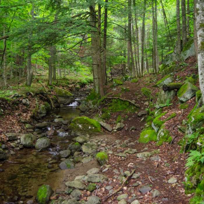 Near Mossy Cascade Near Mossy Cascade