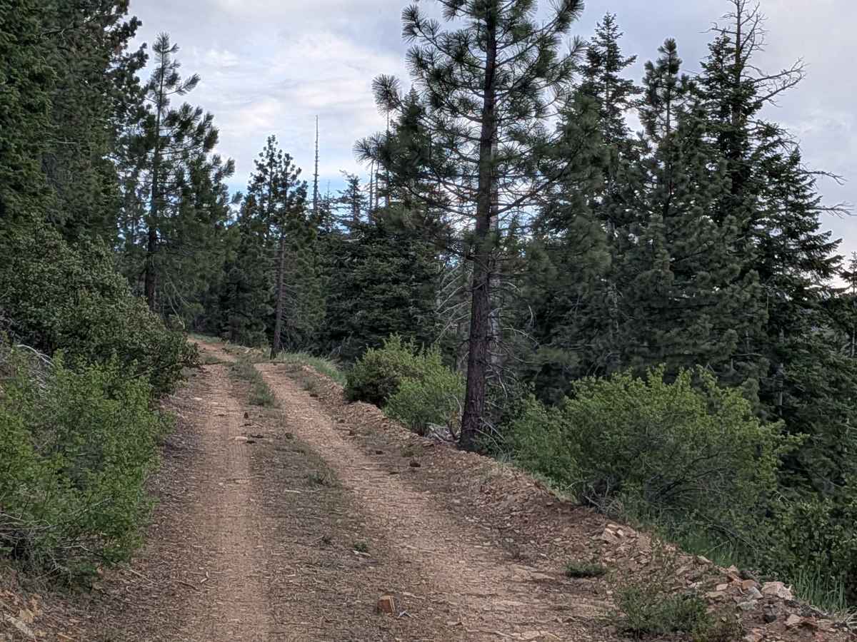 Deadwood - FS 23S09 photo 6