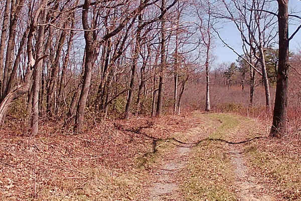 Governor's Trail