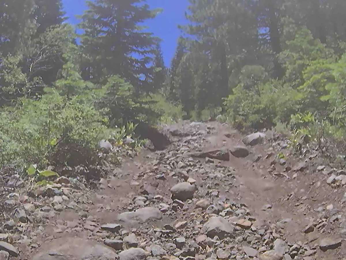 Highway 88 Trail - FS 21564 photo 5