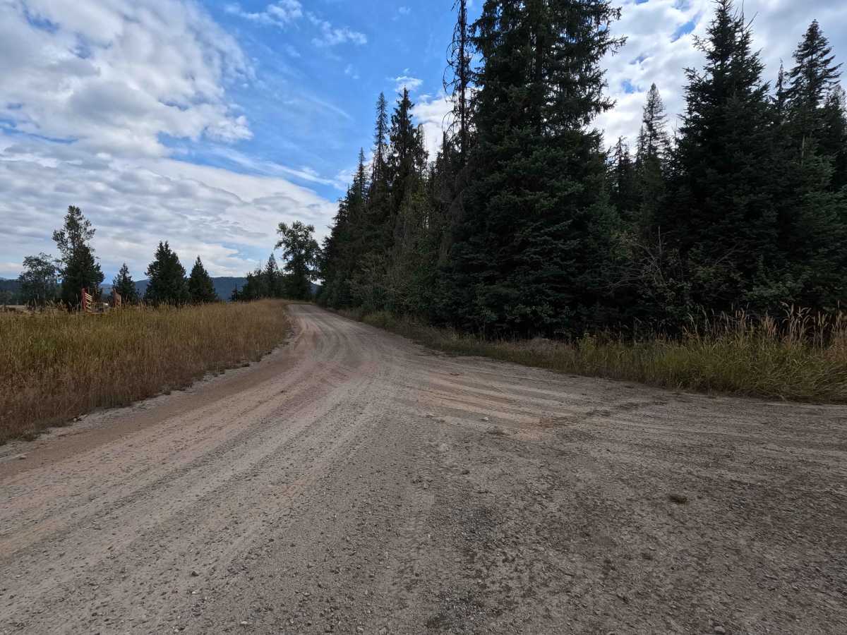 Greenhood - FS 2730 trail photo