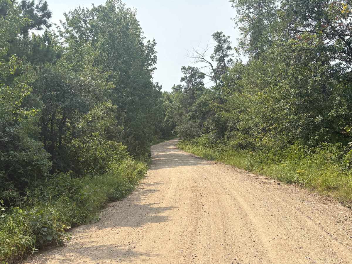 South Two Inlets Trail photo 5