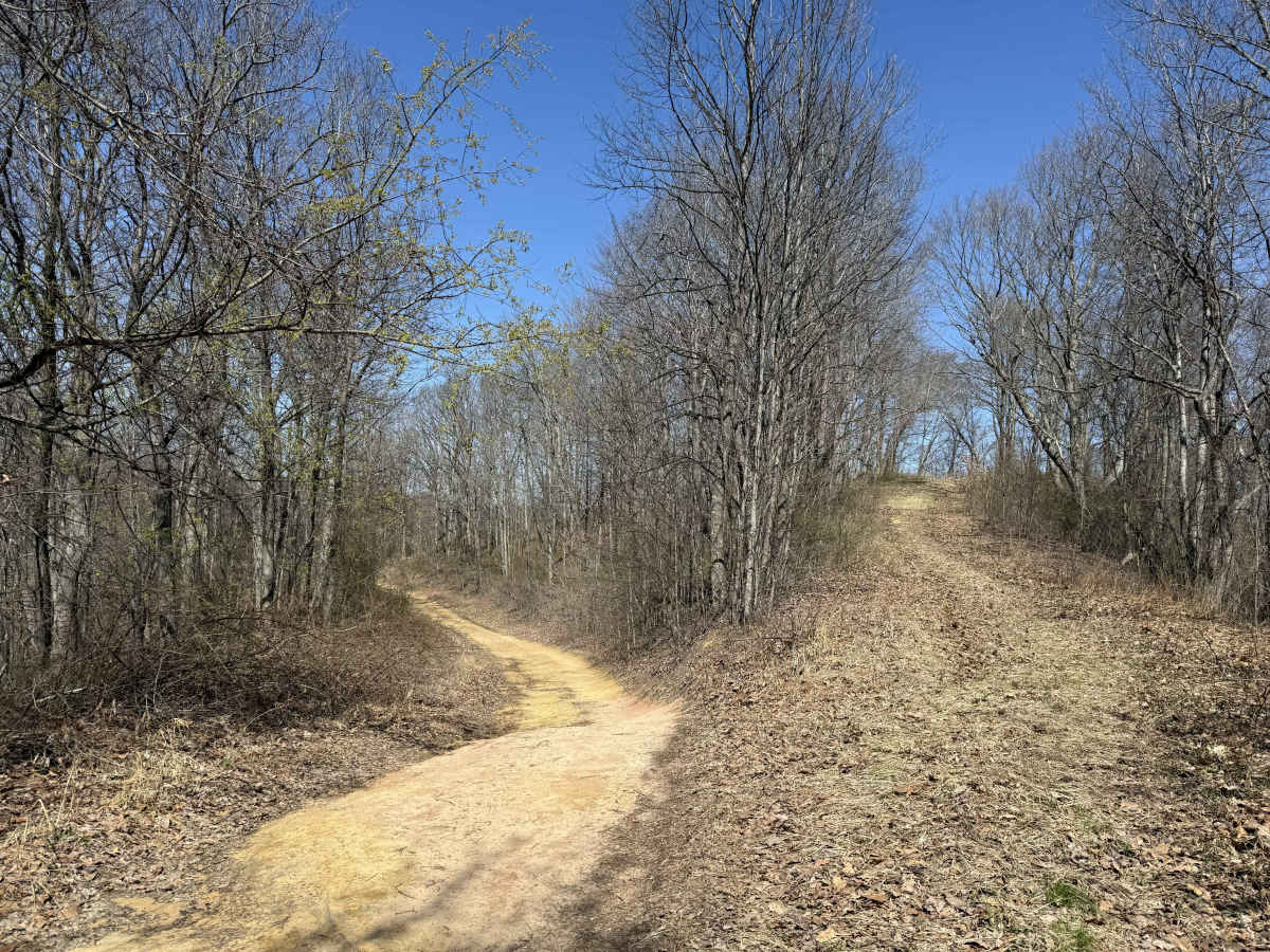 W2A trail photo