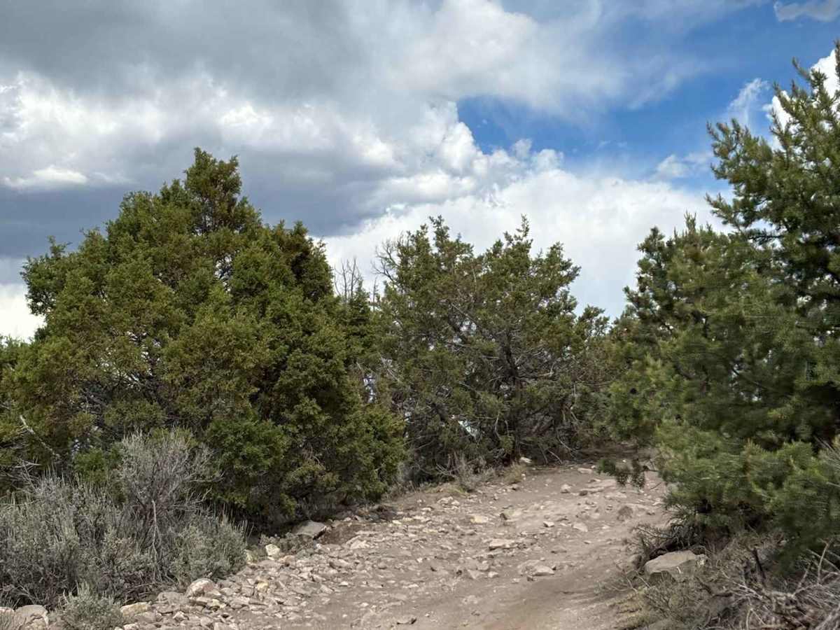 Gypsum Overlook - BLM 8463 photo 3
