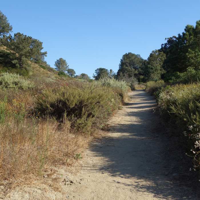 Near Crest Canyon Trail