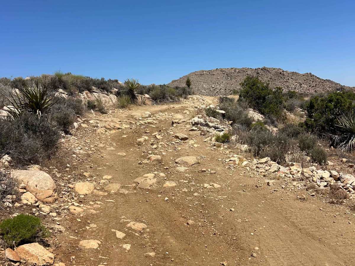 The Buzz Route - BLM 2320 photo 4