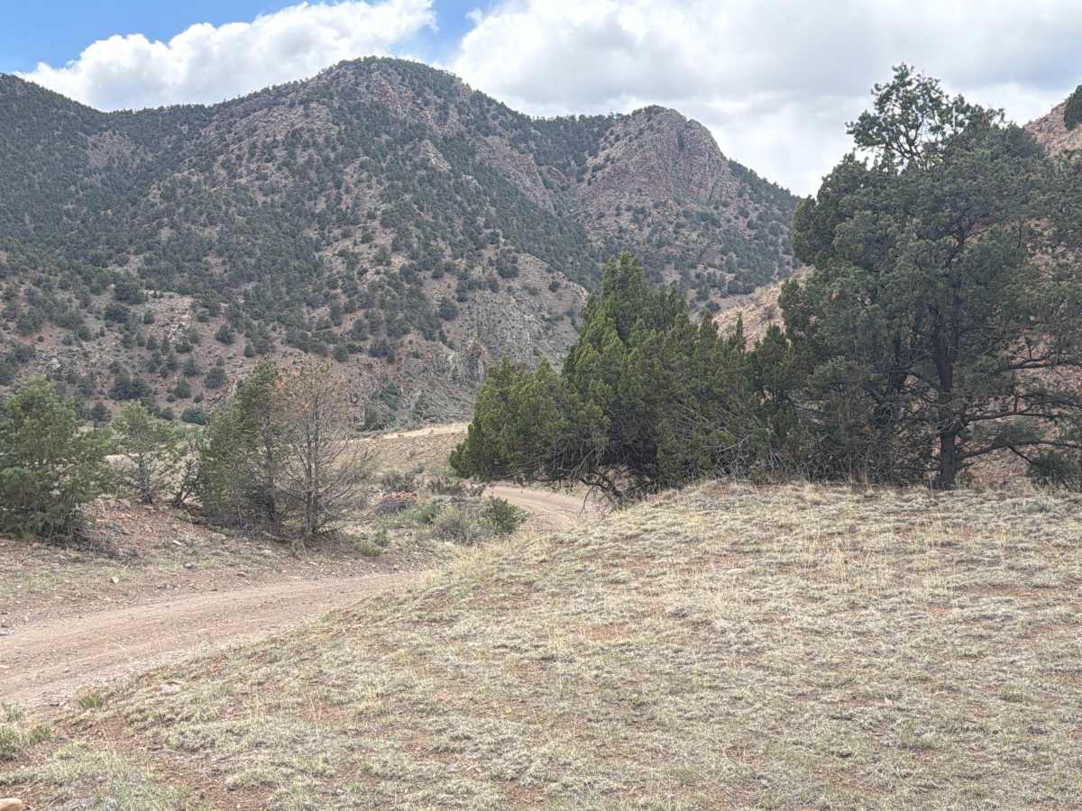 BLM 6020 photo 3