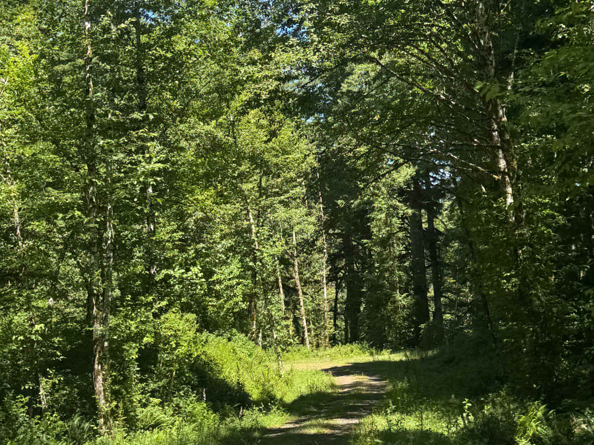 FS 2283-121 photo 6
