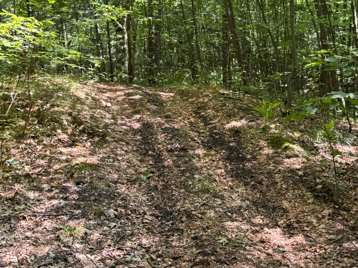 Trail 45 photo 4