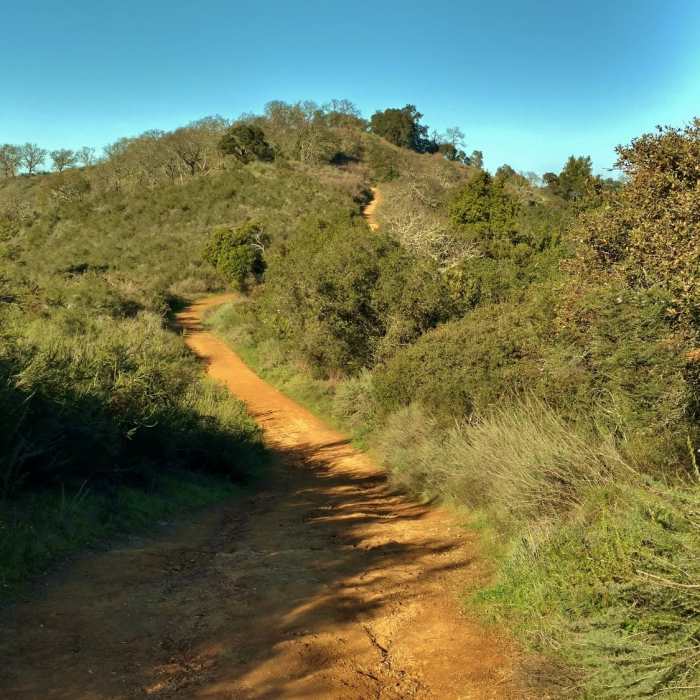 Near Hacienda Trail