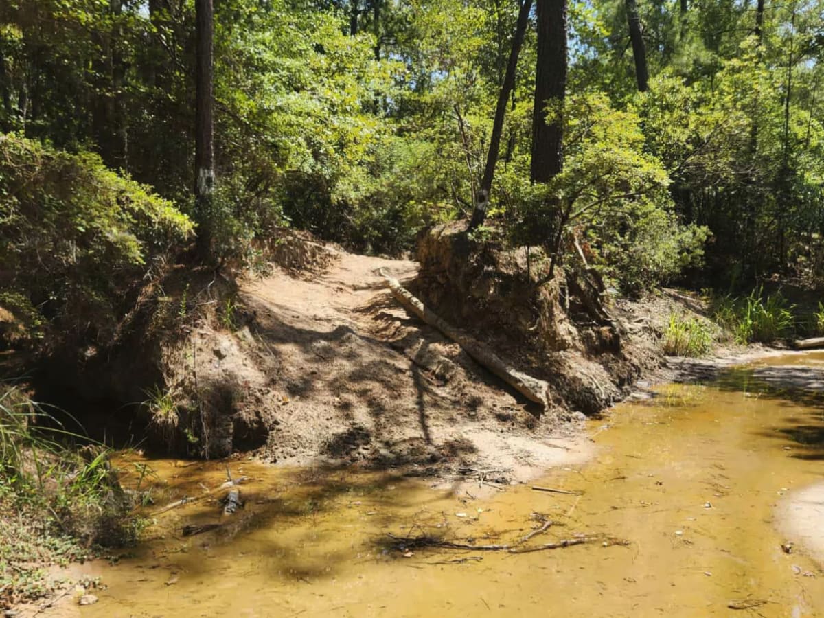Spring Fed Creek photo 2