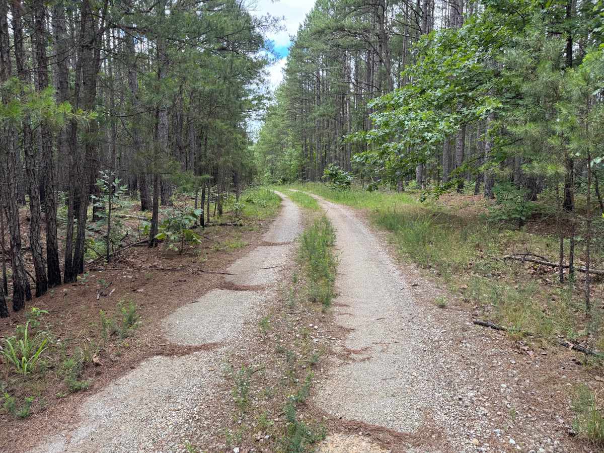 Mauldin Spur photo 2