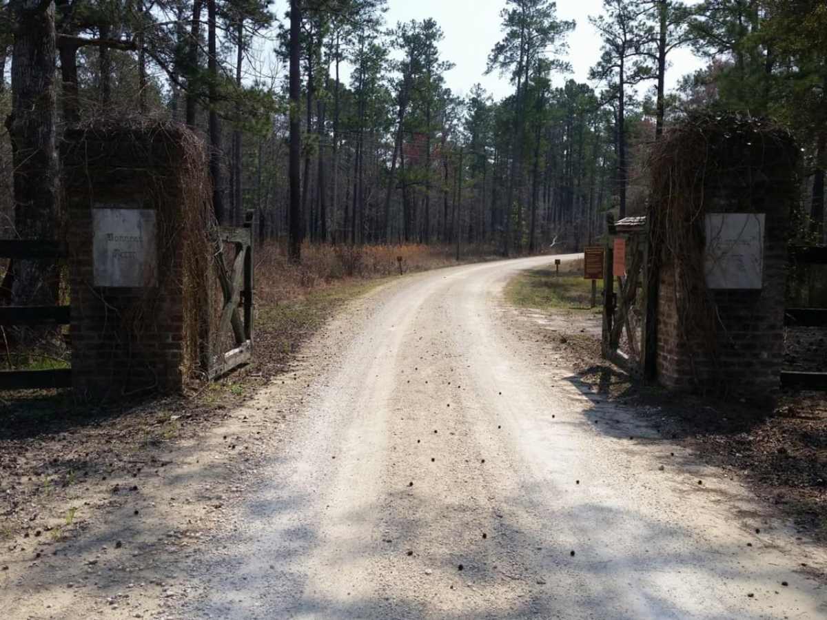 Swamp Fox 1 trail photo