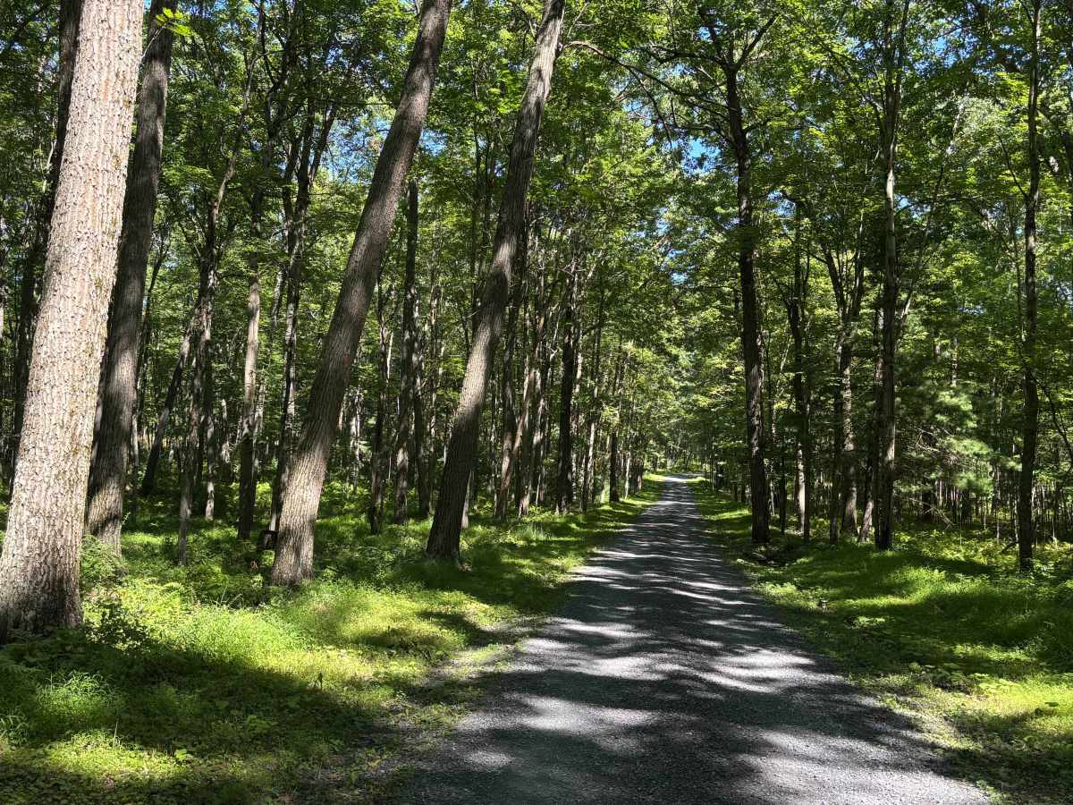 Ames Road photo 2