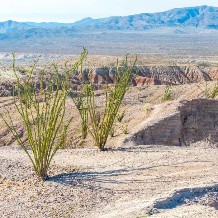 Near West Butte Mountain and the Slot