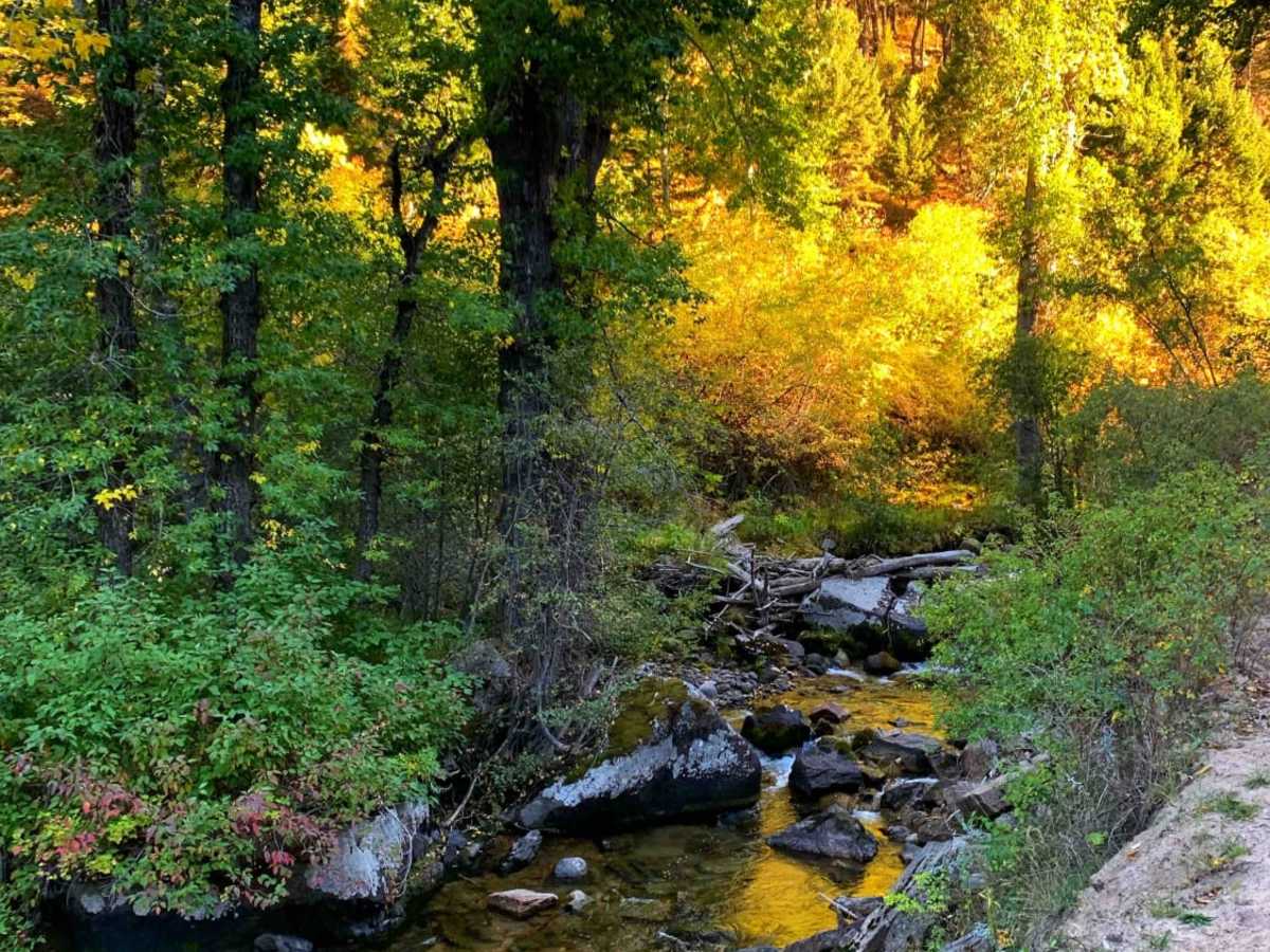 Potosi Willow Creek photo 2