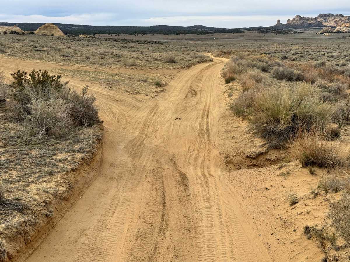 County Road 3630 photo 5