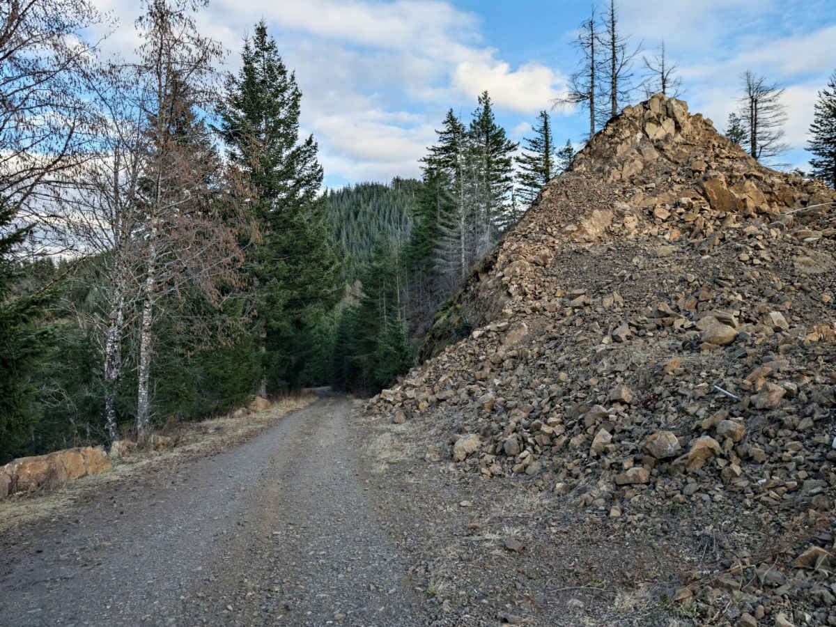 Bremer Mountain trail photo