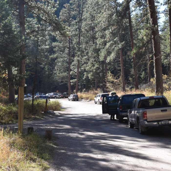 Near Rattlesnake Creek + Spring Gulch Loop